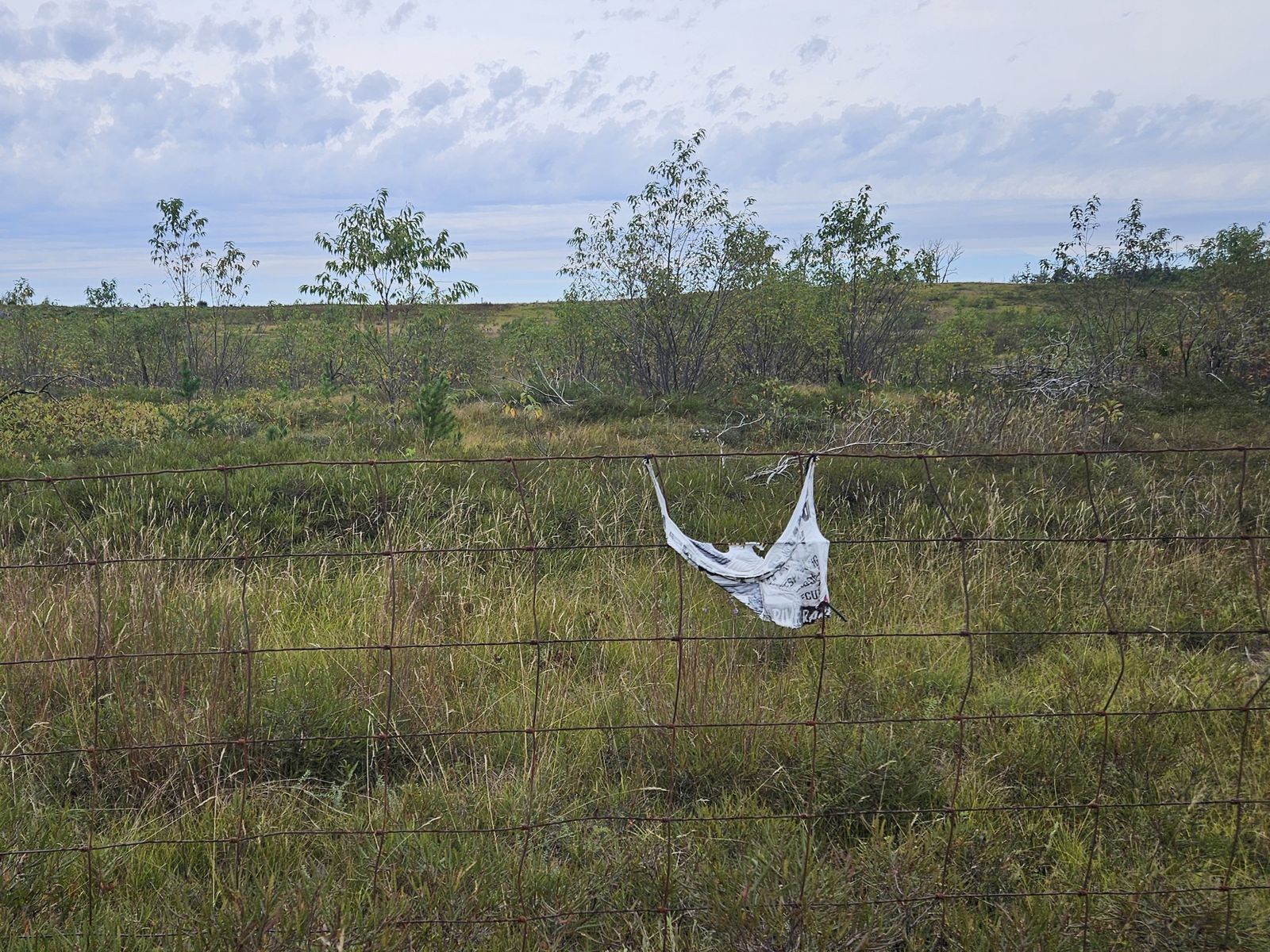The same sign, now weathered white, sagging in a deep U-shape between two attachment points on a rusted woven-wire fence. Its lettering is distorted and barely readable. Behind the fence, grass, brambles and young saplings cover open ground to a low ridge.