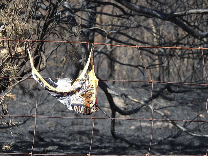 A yellow and black sign, buckled and hanging in a deep V between two attachment points on a rusted woven-wire fence. Behind the fence the ground is entirely black, covered in charred leafless branches and burned brush. A few scorched conifer sprigs remain at the left edge.